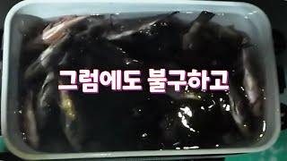 마음을 비운 출조