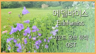 에델바이스 Edelweiss - 사운드 오브 뮤직 Sound of Music OST / 바이올린, 피아노 연주 Violin \u0026 Piano