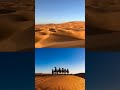 The Sahara Desert: Exploring the Vastness of the Largest Hot Desert on Earth #facts #short