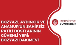 BOZYAZI, AYDINCIK VE ANAMUR’UN SAHİPSİZ PATİLİ DOSTLARININ GÜVENLİ YERİ BOZYAZI BAKIMEVİ