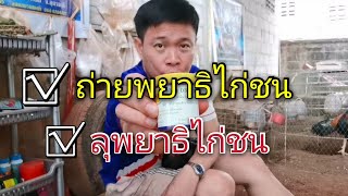 Ep9.​ ลุพยาธิ​ ถ่ายท้องไก่ ได้ผลดีเยี่ยม