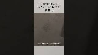 【きんぴらごぼう】洗い方で損してない？簡単に味が決まる黄金比！