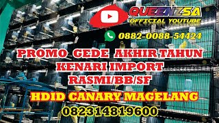 PROMO BESAR BESARAN AKHIR TAHUN KENARI IMPORT DI HDID CANARY MAGELANG