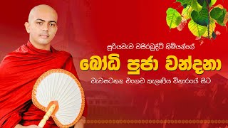 Bodhi Pooja Kavi – බෝධි පුජා වන්දනා | Buddhist Dharma Deshana 🙏🙏