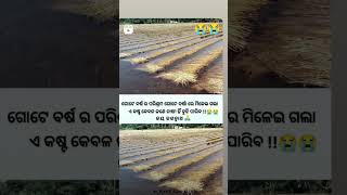 ମେଘ ବଦଳରେ ଲୁହ ଆଜି #viralvideo #worldmusicodia #brokenheartsad #worldmusic #sadquotes