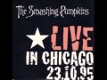 Smashing Pumpkins - Cherub Rock (Live in Chicago - 23/10/1995)