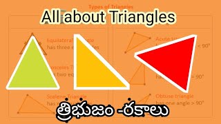 Types of Triangles | త్రిభుజం -రకాలు | basic maths concepts @TejusChalk