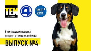 СОБАКЕ ДРЕССИРОВКА НЕ НУЖНА? ► Марафон TEN №4