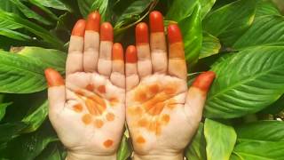 మగువలు మెచ్చిన ఆషాడ గోరింటాకు- Fresh henna with leaves