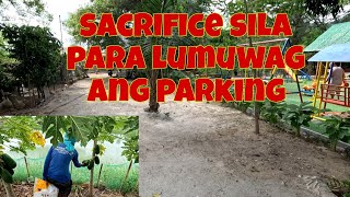 Unahin na kaya muna ang pag paluwag ng parking | Namitas na kami ng papaya