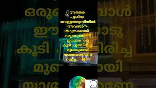 @#iclamic video അത്തർ പൂശിയ വെള്ളത്തുണിയിൽ അവസാന യാത്രക്കായി ഒരുങ്ങുമ്പോൾ ഈമാനോടു കൂടി പൂഞ്ചിര.. -