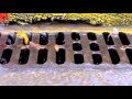 Stormwater Quality:  Inspection