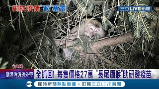 猴~不要跑啦! 美國貨車載100隻\