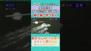 【敵無し！住之江競艇】峰竜太絶好調🔥峰頭で帯び狙った結果... #shorts #ボートレース