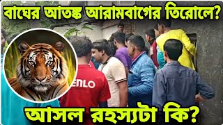 বাঘের আতঙ্ক আরামবাগে?আসল রহস্যটা কি?দেখুন বিস্তারিত