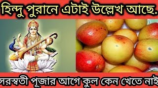 সামনেই সরস্বতী পূজা জেনে নিন পুজোর আগে কুল কেন খেতে নেই। saraswati puja 2025।