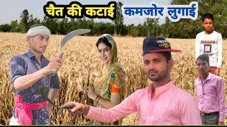 चैत की कटाई कामचोर लुगाई Funny 🤣 Video