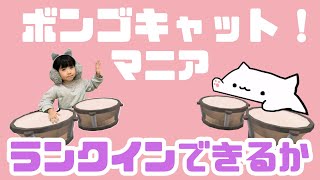 ボンゴ猫に癒されてたのにいろちゃんがどんどんおかしくなっちゃった【ロブロックス】