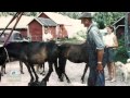 Anding Family Farm, Arena, WI