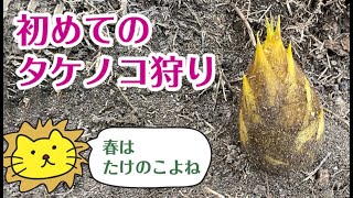 初めてのタケノコ狩り