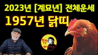 2023년총운세 [1957년생 닭띠] #닭띠운세 #2023년운세 #띠운세 #닭띠2023년운세 #신년운세 #2023년닭띠운세 #계묘년운세 #1957年生