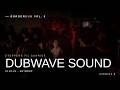 Dubwave Sound: Late Night Steppers | BorgerDub Vol. 5 (Antwerp)