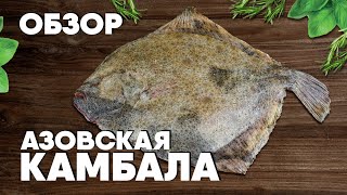 КАМБАЛА или Калкан? Как выбрать и разделать рыбу. Обзор азовской камбалы от шеф-повара