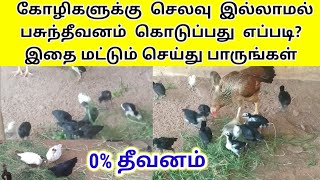 கோழிகளுக்கு செலவு இல்லாமல் பசுந்தீவனம் கொடுப்பது எப்படி?  / உழவர் உலகம்