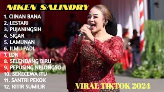 NIKEN SALINDRY FULL ALBUM TERBARU 2024 || CIINAN BANA, LESTARI -CAMPURSARI -CAMPURSARI KOPLO