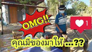 📌 บ้านสวนคุณหนูนา | EP.04 เริ่มลงมือ .. รดน้ำต้นไม้กันครับ \u0026คุณตาเอาอะไรมาให้..??