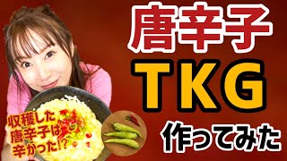 【超激辛レシピ】唐辛子TKGを作って食べてみた！！
