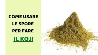 Come utilizzare le spore per il koji (tutorial)