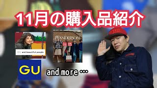 #155　11月の購入品紹介【GU】【UNIQLO】【古着】【YAMANE】