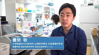 【研究紹介】晝間敬准教授：大学院総合文化研究科・教養学部