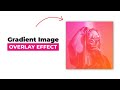 Gradient Image Overlay Hover Effect using HTML & CSS