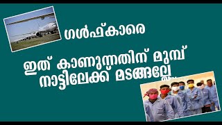 തിരിച്ചു വരാൻ ആഗ്രഹിക്കുന്ന പ്രവാസികൾ   തീർച്ചയായും കാണുക