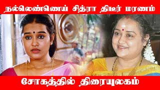 நல்லெண்ணெய் சித்ரா திடீர் மரணம், சோகத்தில் திரையுலகம் | RIP Chithra | THANDORA VOICE