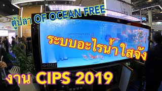 พามาดูระบบกรองตู้ปลา OF OCEAN FREE ตู้ขนาดใหญ่ที่สุดในงาน CIPS 2019