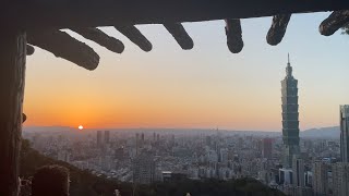 [Walking in Taiwan] Xiangshan｜Sunset｜Taipei 101｜Moth Larvae｜Smiling Flower