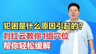 犯困是什么原因引起的？刘红云教你1组穴位，帮你轻松缓解