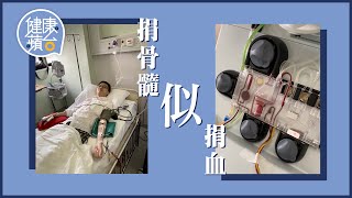 新一代捐骨髓方法似捐血 醫生稱翌日就可如常返工 陌生人捐骨髓撿回血癌女一命 #健康蘋台－果籽 香港 Apple Daily—原刊日期：20201118