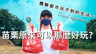 【親子旅遊#19-1】苗栗西湖深度旅遊必去秘境｜採柚子控窯雞全都來@unique3744 ｜大發家TheAlphas