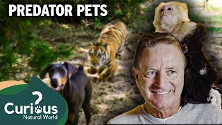 Behind the Chain Fence: Surprising Exotic Pets in Rural Nevada | Predator Pets