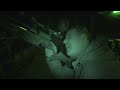 s u0026c tv air rifle hunting with terry doe u0026 dave barham 5 feral pigeon shoot