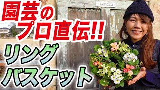 【寄せ植え】初心者でもかわいく作れるリングバスケットをプロが紹介します♪【ガーデニング】【園芸チャンネル】【プリムラ】