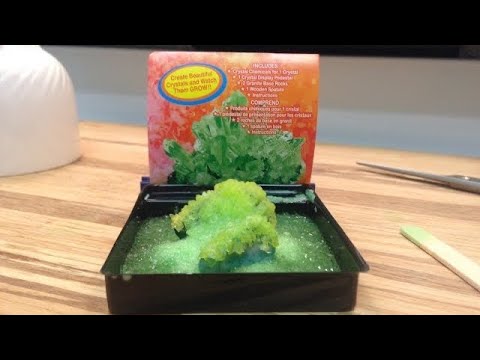 Crystal Growing Kit | Dollar Tree Science Kit Crystal Growing Kit | Dollar Tree Science Kit