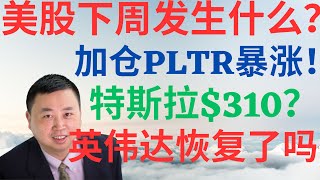 美股910|美股下周发生什么?加仓PLTR即暴涨,特斯拉能暴涨到310吗?AMD,英伟达能恢复持续上涨吗? #tsla #nvda #pltr #amd #美股分析 #drmikeinvest