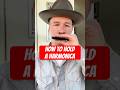 How to Hold a Harmonica #shorts #harmonica #tutorial
