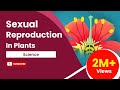 Sexual Reproduction In Flowering Plants