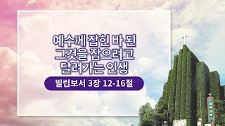 201227 주일예배 [예수께 잡힌 바 된 그것을 잡으려고 달려가는 인생] 최영태 담임목사